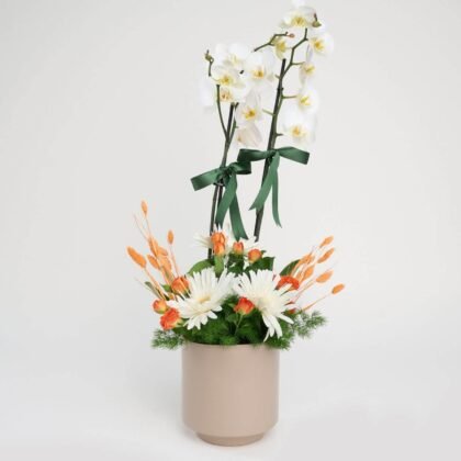 Saksıda Gül Süslemeli Orkide